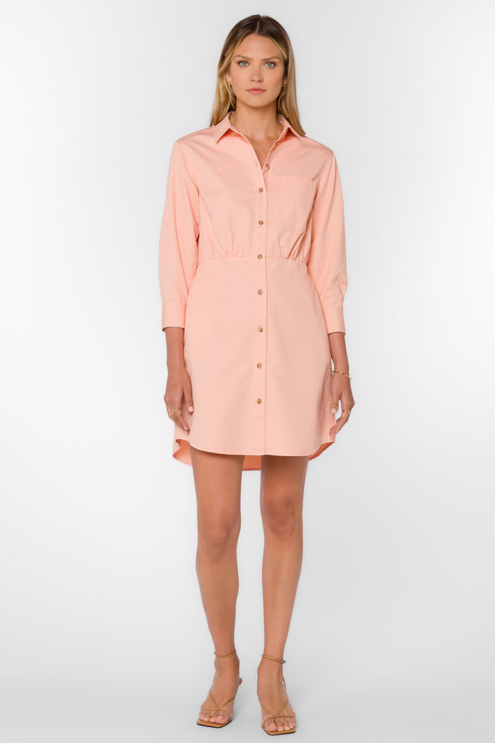 Barnett Pink Sand Dress