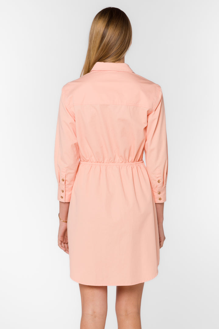 Barnett Pink Sand Dress