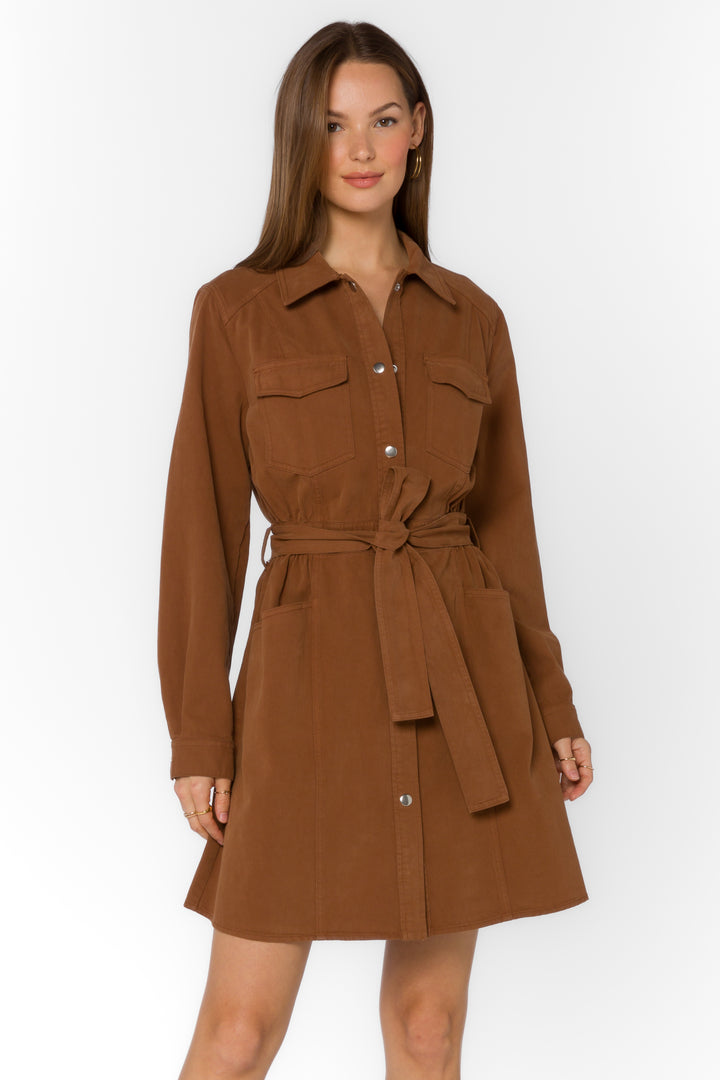 Deena Java Brown Dress - Dresses - Velvet Heart Clothing