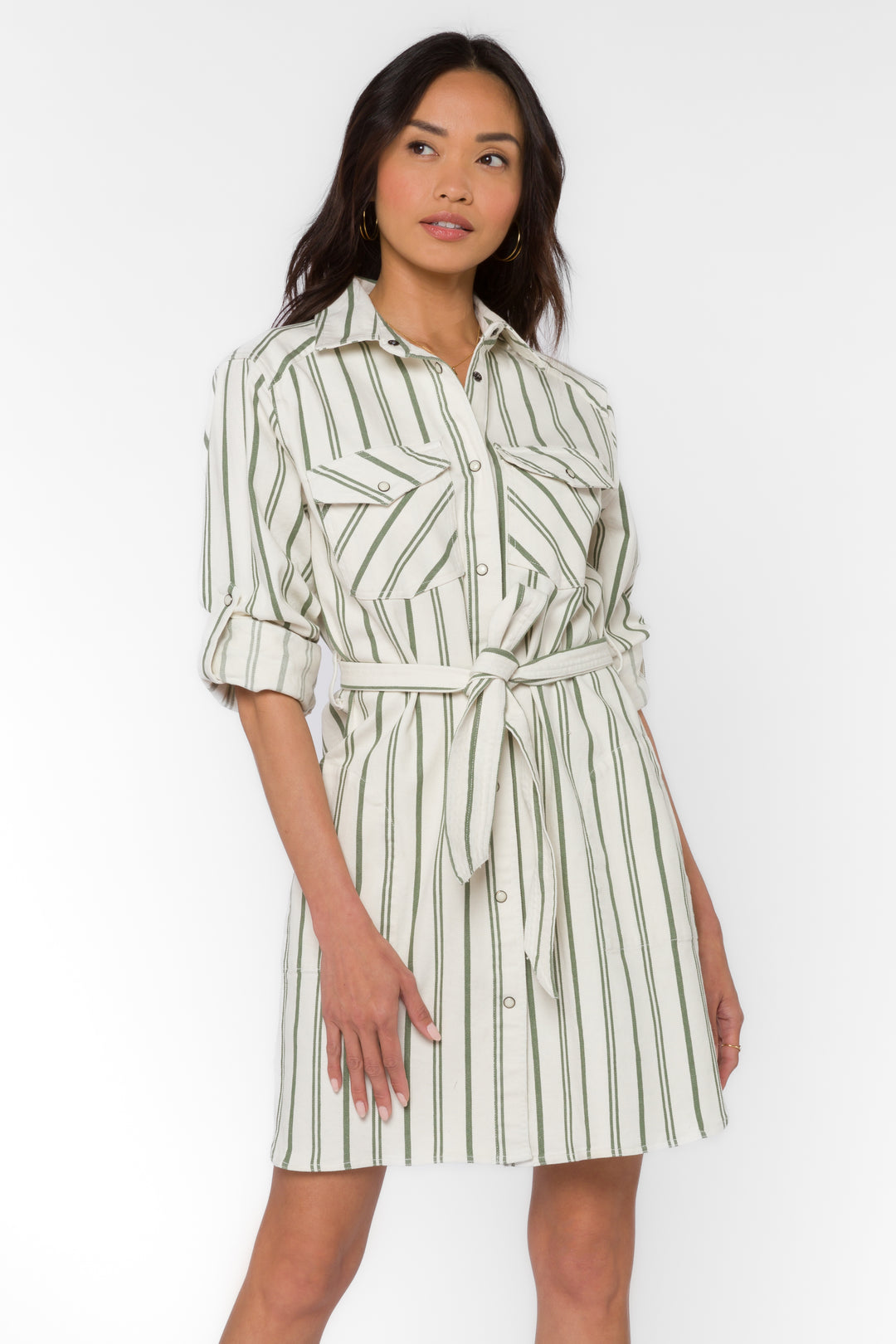 Gelsey Olive Stripe Dress - Dresses - Velvet Heart Clothing