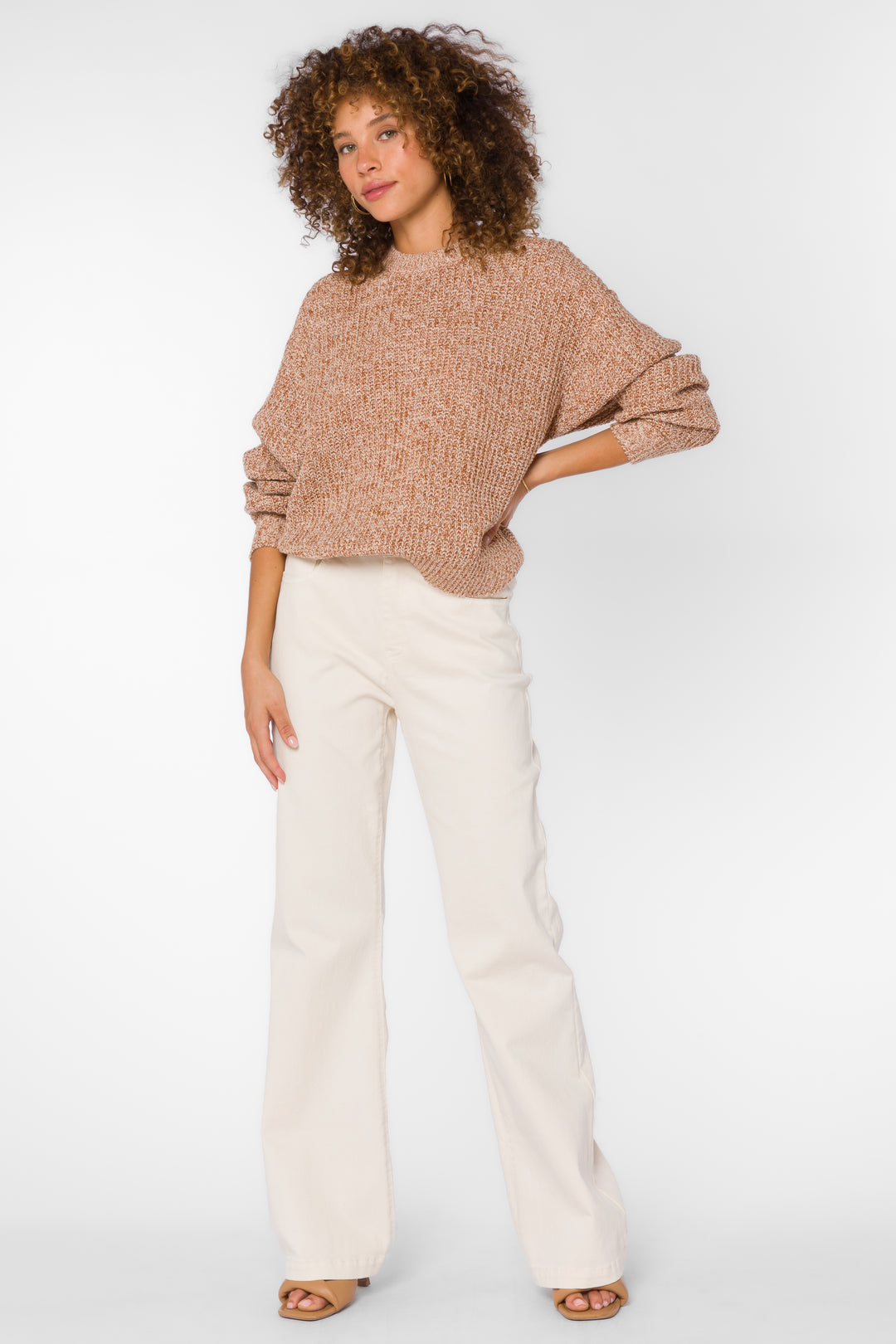 Justine Marled Brown Sweater - Sweaters - Velvet Heart Clothing